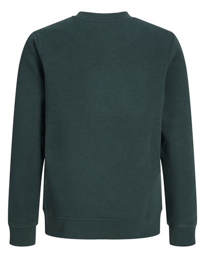 Jack & Jones Junior - JJESoho Sweatshirt - Scarab
